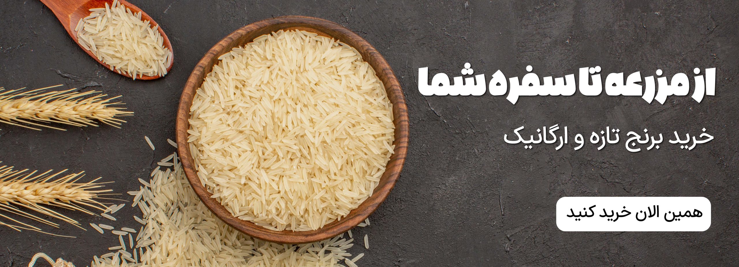 گلسا گیل آباد از مزرعه تا سفره شما