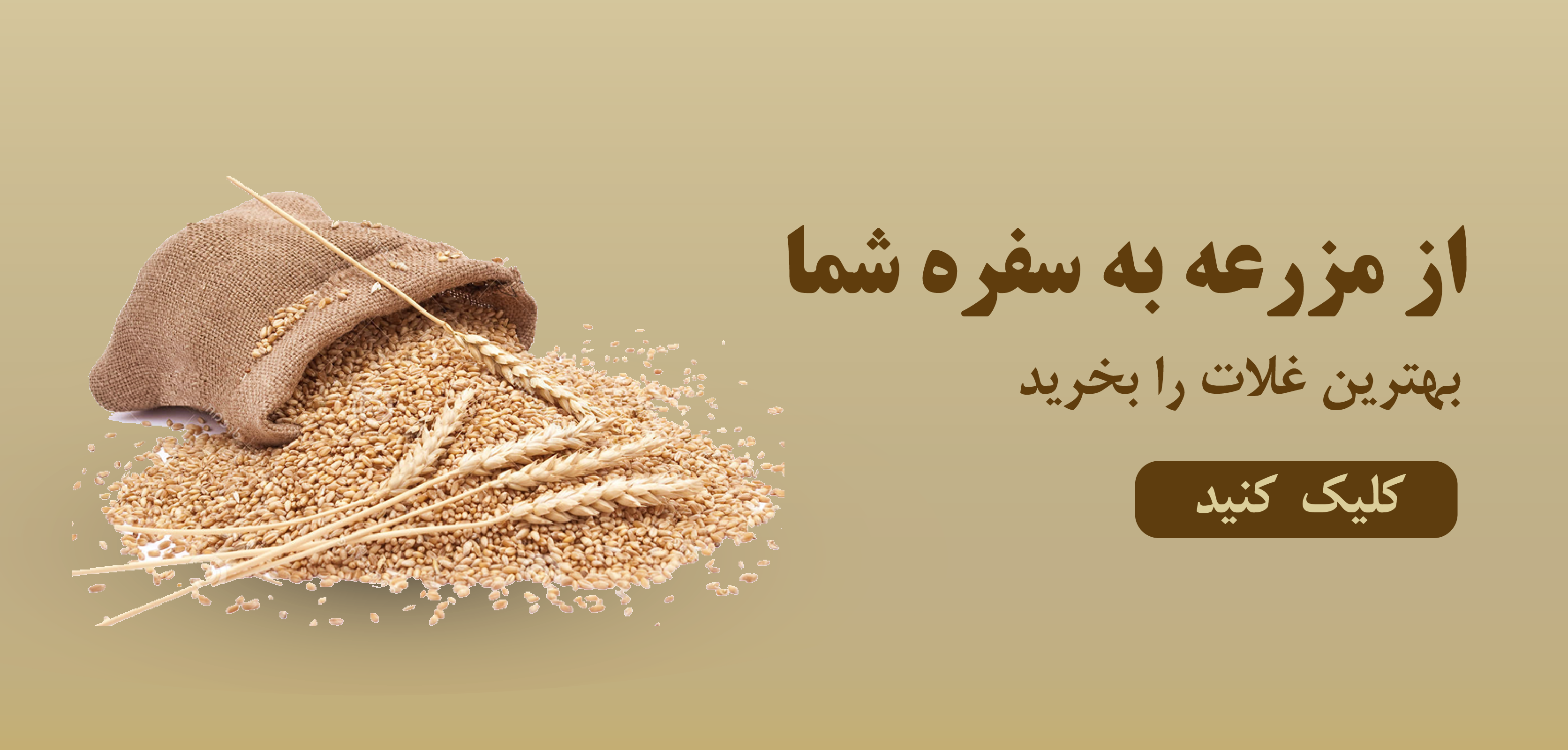 بنر اصلی گلسا گیل آباد