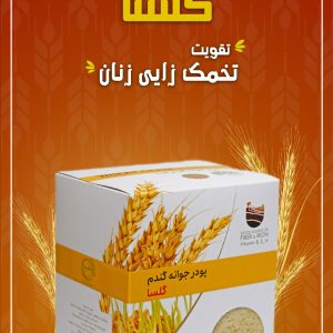 پودر جوانه گندم گلسا در گلسا گیل آباد