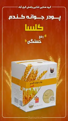 خرید پودر جوانه گندم گلسا برای رفع خستگی 