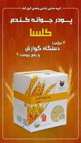 جوانه گندم | تقویت سلامت دستگاه گوارش و رفع یبوست 