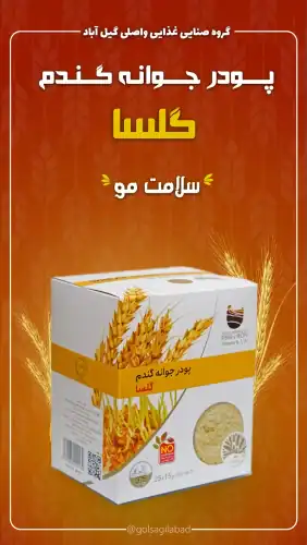 پودر جوانه گندم و سلامت مو 