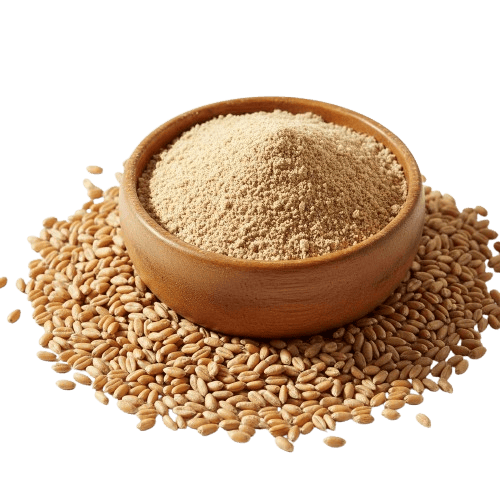 طریقه مصرف پودر جوانه گندم گلسا برای چاقی 
